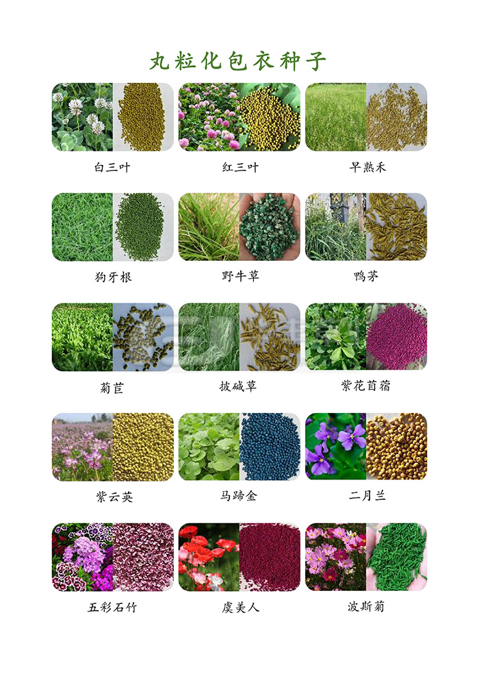 �������������������ӹ�