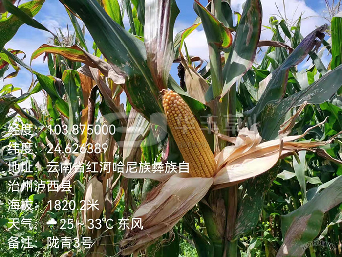 ¤����3��