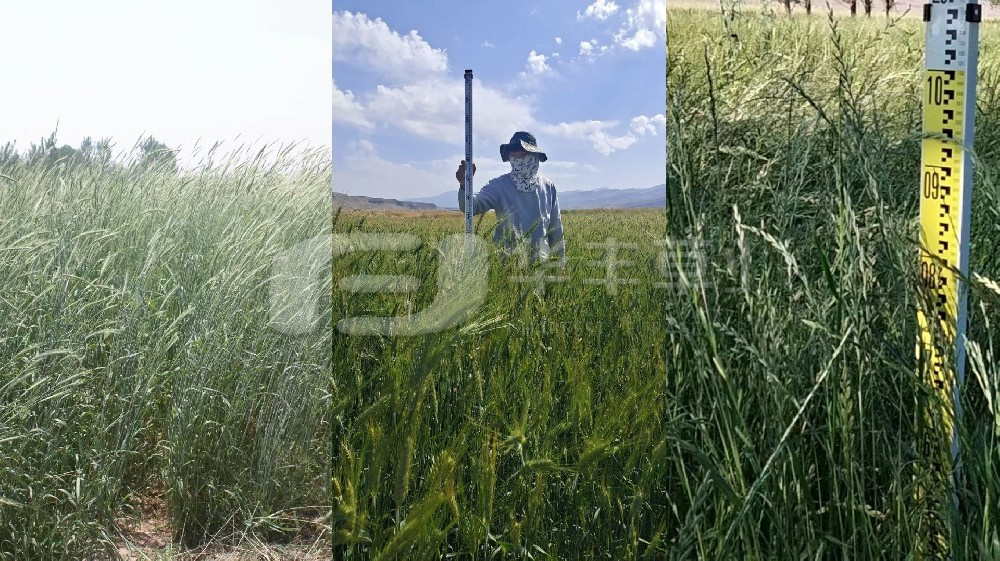 ����С���󡢺���ݵ�����