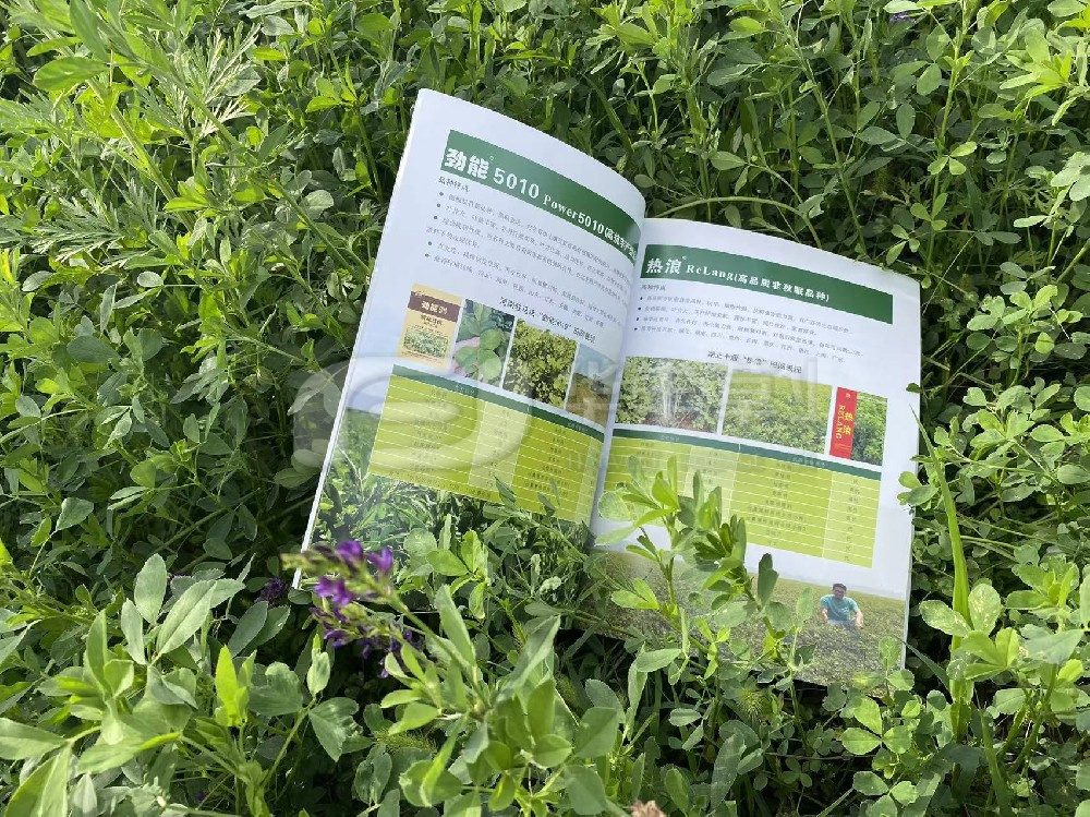 Ê÷Á¢¡°ËDzݾÍÊÇÁ¸Ê³¡±µÄ´óʳÎïÀíÄî-µÚ¾Å½ìÖйúÜÙÞ£´ó»áÕÙ¿ª