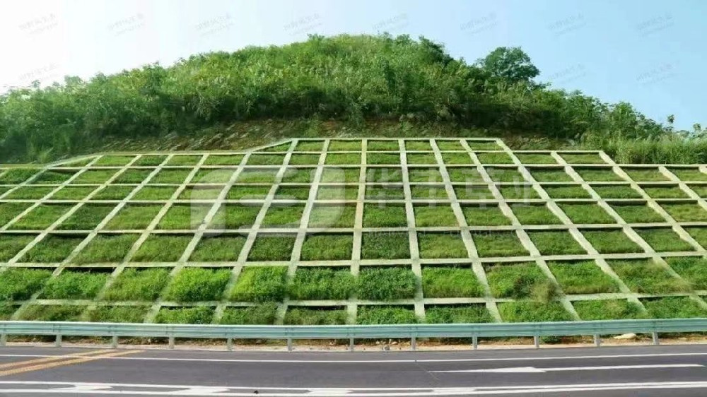 �����̻�