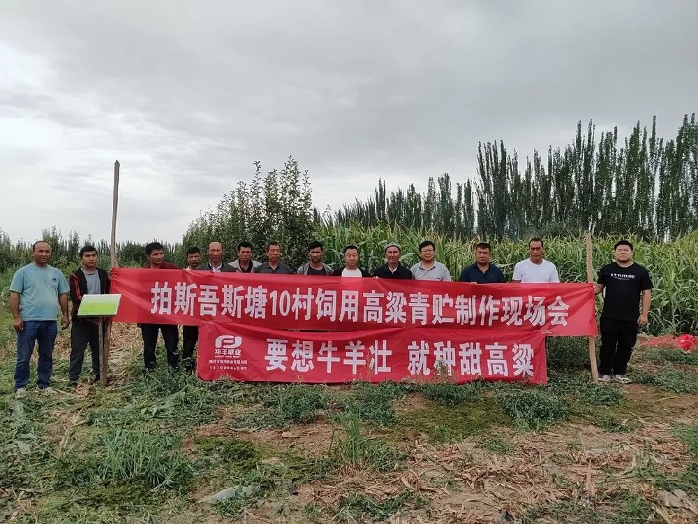 ��ʲ��������������ӹ�ʹ���ֳ���