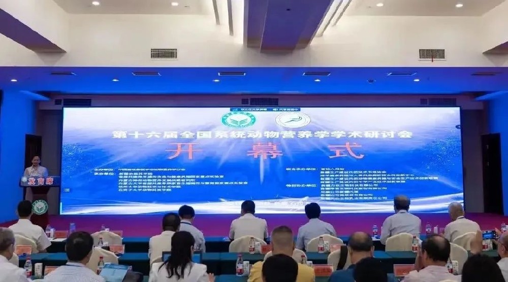 ��ʮ��������ϵͳ����Ӫ��ѧѧ�����л����½�ʯ�������ֳɾ���