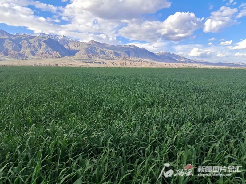 ��������·ح�½���������ҵ�������ǲݹ�ҵ��������ҵת��