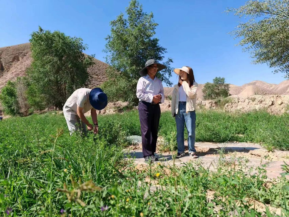 ����ũҵ��ѧ�����½���ݰ���ҹ�˾�����ǲ�������������վ�������