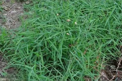 ��â���Ӳ�