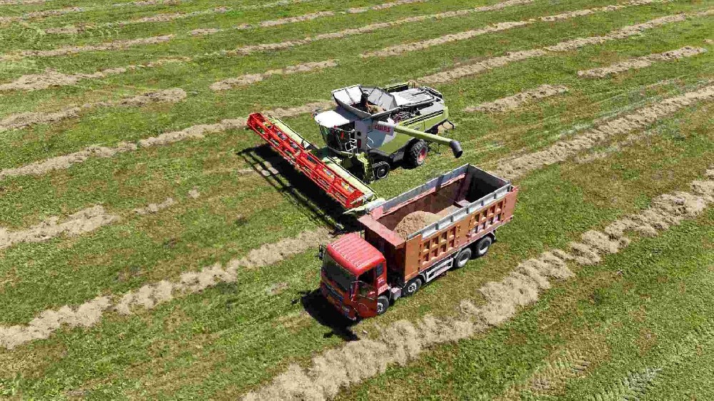 ���պá��ᡱ�����½������ز��ֿ����ո�