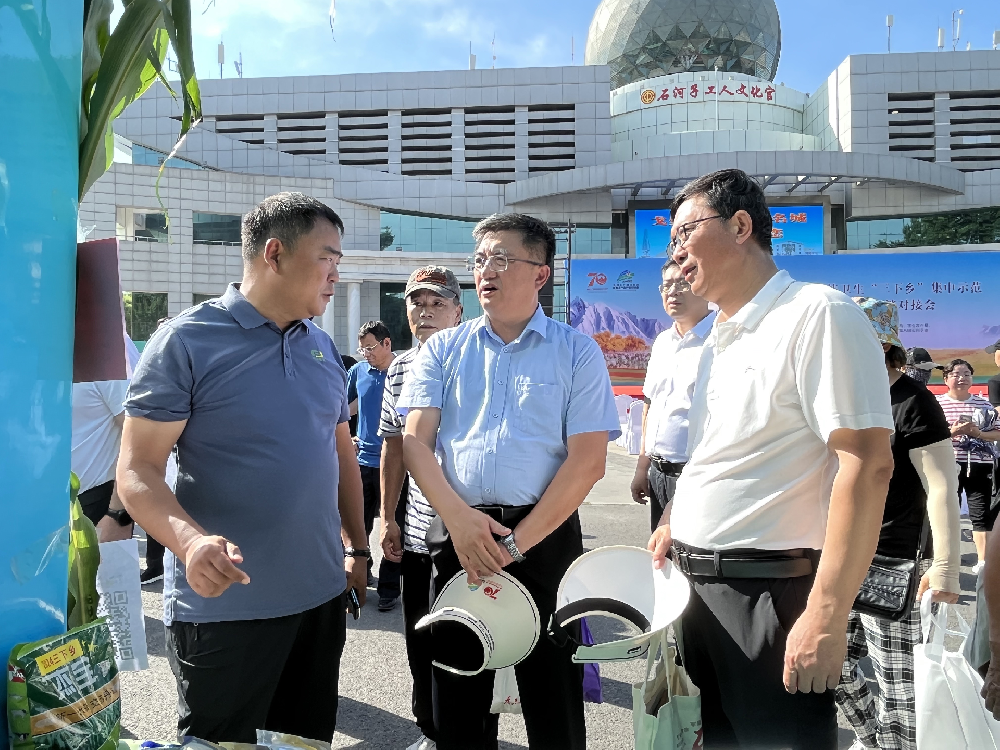 2024�������Ļ��Ƽ������������硱������ģ�߱�������ũ��Ʒ�����Խӻ�