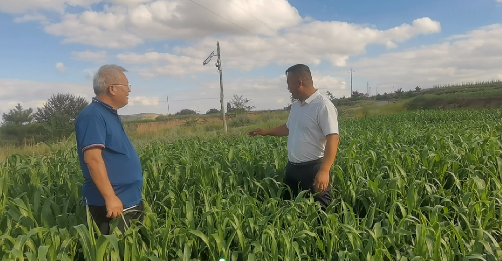 �������湦�����������