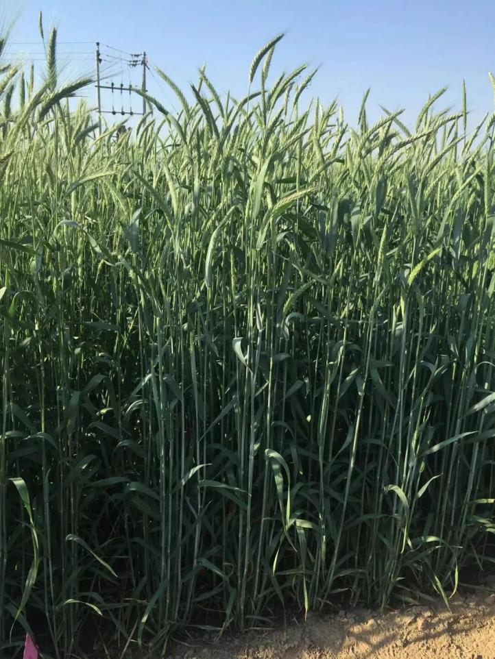 ���ݴ����70����