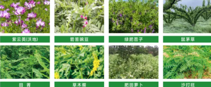 �̷ʣ��л�ũҵ�� ���������㡱