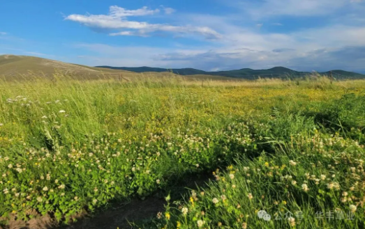 �첥�ݵؽ�ֲ����