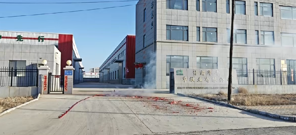 �ǿյ羺 - ���ε羺����,����ÿһ�� 2026 �����󼪣�