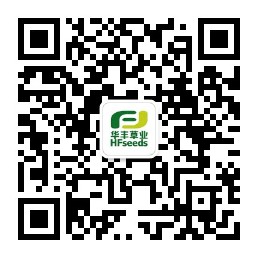 �ǿյ羺 - ���ε羺����,����ÿһ��