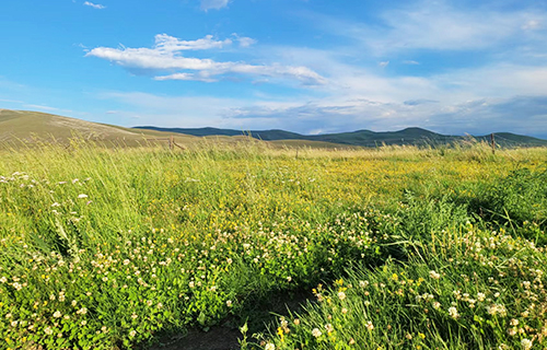 �ǿյ羺 - ���ε羺����,����ÿһ��